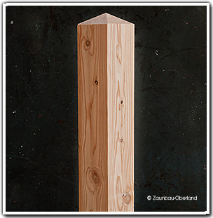 Holzpfosten mit Pyramidendach
